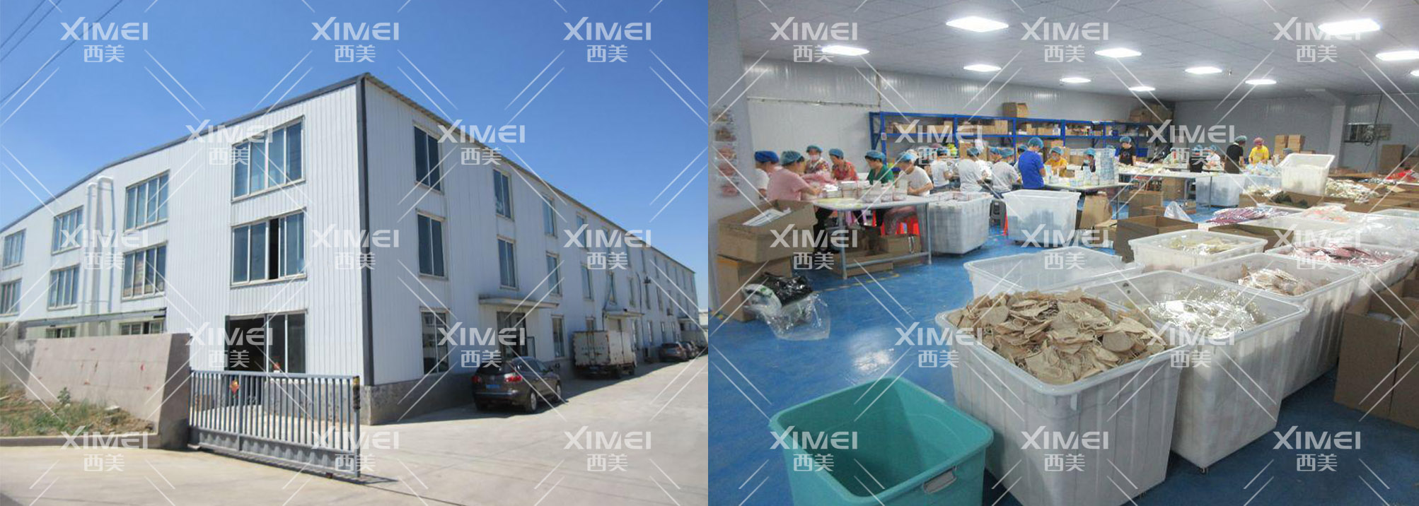 恭喜青岛XX医疗科技有限公司顺利通过BSCI验厂审核(图1)