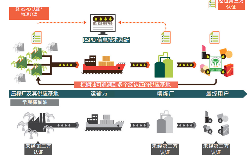 RSPO供应链认证的四种模式及证书交易介绍(图3)